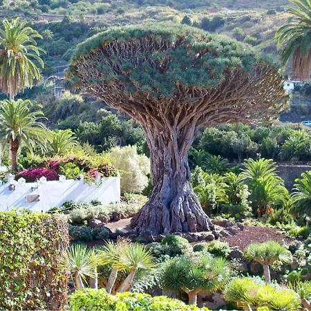 Casa rural Live Con Cueva La Furnia 1 *