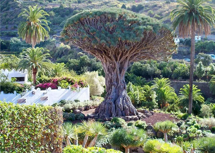 Casa de Campo Live Con Cueva La Furnia 1 *